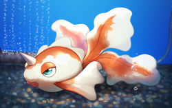 Rule 34 | air bubble, animal focus, bubble, closed mouth, commentary request, creatures (company), fish, from side, game freak, gen 1 pokemon, goldeen, green eyes, naoki eguchi, nintendo, no humans, pokemon, pokemon (creature), solo, underwater