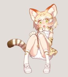 Rule 34 | 10s, 1girl, :o, animal ears, bare shoulders, blonde hair, blouse, blush, bow, bowtie, breast pocket, cat ears, cat girl, cat tail, clenched hands, commentary, dot nose, elbow gloves, fangs, footwear ribbon, full body, gloves, gradient hair, grey background, hands on own knees, kemono friends, kneehighs, looking up, multicolored hair, nose blush, open mouth, petticoat, pocket, ribbon, sand cat (kemono friends), sanpaku, shirt, shoes, simple background, sitting, skirt, sleeveless, sleeveless shirt, socks, solo, streaked hair, striped tail, tail, tareme, teeth, upper teeth only, white footwear, white hair, white ribbon, white shirt, yarerubabaa, yellow eyes