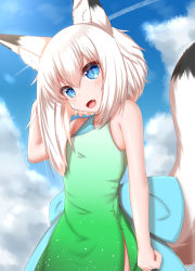 Rule 34 | 1girl, :d, animal ear fluff, animal ears, bare shoulders, blue dress, blue eyes, blue sky, blush, cloud, cloudy sky, contrail, cowboy shot, day, dress, fang, fox ears, fox girl, fox tail, green dress, hair between eyes, hand up, highres, horokusa (korai), looking at viewer, medium hair, multicolored clothes, multicolored dress, open mouth, original, side slit, sky, sleeveless, slit pupils, smile, solo, tail, tail raised, white hair