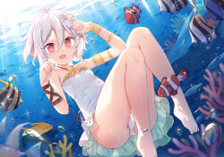 Rule 34 | 1girl, animal, ass, blush, breasts, brooch, bubble, diving, feet, fish, flower hair ornament, hands up, jewelry, kokkoro (princess connect!), light blush, looking at viewer, necklace, one-piece swimsuit, open mouth, pointy ears, princess connect!, red eyes, short hair, sidelocks, silver hair, small breasts, smile, swimsuit, thighs, toes, underwater, water, wrist guards