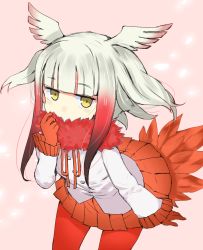 Rule 34 | 10s, 1girl, adjusting collar, bird tail, blunt bangs, blush stickers, buttons, cowboy shot, drawstring, expressionless, eyebrows, eyelashes, feathers, frilled sleeves, frills, fur collar, gedou (ge ge gedou), gloves, gradient hair, head wings, japanese crested ibis (kemono friends), jitome, kemono friends, leaning forward, long sleeves, looking at viewer, multicolored hair, pantyhose, pink background, pleated skirt, red gloves, red hair, red pantyhose, red skirt, sanpaku, shirt, short hair, short hair with long locks, sidelocks, skirt, solo, tail, two-tone hair, white hair, white shirt, wings, yellow eyes