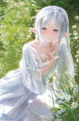 Rule 34 | 1girl, alternate costume, alternate hairstyle, blush, collarbone, corrupted twitter file, dress, elf, flower, frieren, grass, green eyes, hashtag-only commentary, highres, long sleeves, looking ahead, o0hiruko0o, open mouth, outdoors, pointy ears, solo, sousou no frieren, white dress, white flower, white hair