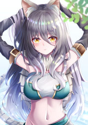 Rule 34 | 1girl, absurdres, animal ear fluff, animal ears, armpits, arms up, bare shoulders, black gloves, black hair, blush, breasts, closed mouth, detached sleeves, gloves, gradient hair, hair between eyes, highres, large breasts, long hair, looking at viewer, midriff, multicolored hair, navel, princess connect!, shiori (princess connect!), signature, smile, solo, strapless, tail, takemura kou, tiger ears, tiger girl, tiger tail, tube top, white background, yellow eyes