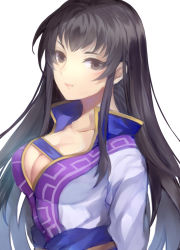 Rule 34 | 1girl, black hair, breasts, brown eyes, cleavage, closed mouth, commentary request, fire emblem, fire emblem: the blazing blade, jurge, karla, large breasts, long hair, nintendo, simple background, solo, upper body, white background