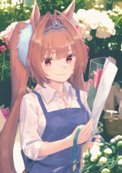 Rule 34 | 1girl, animal ears, apron, blue apron, blue ribbon, blurry, blush, bouquet, brown hair, closed mouth, collared shirt, commentary request, daiwa scarlet (umamusume), depth of field, flower, holding, holding ribbon, horse ears, horse girl, long hair, paayan (hagakinorock54), photo background, pink eyes, red flower, red rose, ribbon, rose, shirt, smile, solo, tiara, twintails, umamusume, unbuttoned, unbuttoned shirt, very long hair, white shirt, wing collar