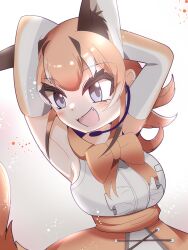 Rule 34 | 1girl, animal ears, caracal (kemono friends), caracal ears, caracal girl, caracal tail, extra ears, highres, kemono friends, kemono friends v project, looking at viewer, rnrwbhybsxj4qgk, simple background, solo, tail, virtual youtuber