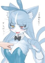 Rule 34 | 1boy, 1other, animal ear fluff, animal ears, blue hair, blush, bow, bowtie, breast poke, cat boy, cat ears, detached collar, furry, furry male, heterochromia, highres, japan air self-defense force, japan air self-defense force omaezaki sub-base, japan self-defense force, leotard, long hair, low twintails, male with breasts, military, nashinoro kikuri, omaneko, open mouth, out of frame, playboy bunny, poking, red eyes, translated, trap, twintails, upper body, whiskers, yellow eyes
