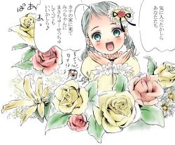 Rule 34 | 00s, 1girl, drill hair, flower, flower on head, glasses, green eyes, grey hair, happy, kanaria, looking at viewer, rozen maiden, tongue, toshi hiroshi, translation request