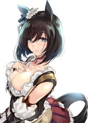 Rule 34 | 1girl, animal ears, bad id, bad twitter id, black dress, black hair, blue eyes, blush, breasts, choker, cleavage, collarbone, detached sleeves, dirndl, dress, eishin flash (umamusume), endou (zettai bluenoid), german clothes, hair ornament, hand on own chest, highres, horse ears, horse tail, large breasts, looking at viewer, red skirt, short hair, simple background, skirt, smile, solo, tail, umamusume, white background