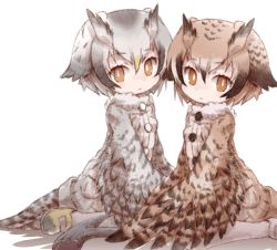 Rule 34 | 10s, 2girls, alternate costume, bird tail, bird wings, brown hair, coat, commentary request, eurasian eagle owl (kemono friends), feathered wings, feathers, fur collar, head wings, kemono friends, kolshica, multicolored hair, multiple girls, northern white-faced owl (kemono friends), owl ears, pantyhose, short hair, sitting, tail, wariza, white hair, winged arms, wings