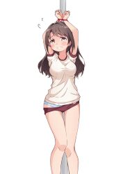 Rule 34 | 1girl, arms up, blue panties, blush, bound, bound wrists, breasts, brown hair, buruma, buruma pull, clenched teeth, clothes pull, commentary request, feet out of frame, flying sweatdrops, gym uniform, highres, idolmaster, idolmaster cinderella girls, kuwahara, legs, long hair, looking at viewer, medium breasts, panties, pole, red buruma, restrained, shimamura uzuki, shirt, short sleeves, sidelocks, solo, tearing up, teeth, thighs, underwear, white background, white shirt