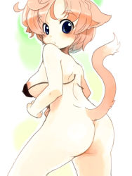 Rule 34 | 1girl, animal ears, ass, blue eyes, blush, breasts, female focus, from behind, fuyuno mikan, looking at viewer, looking back, pink hair, short hair, solo, tail