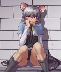 Rule 34 | 1girl, animal ears, brick wall, capelet, grey hair, grey socks, hater (hatater), highres, jewelry, long sleeves, looking at viewer, mouse ears, mouse tail, nazrin, panties, pantyshot, pendant, red eyes, seductive smile, short hair, sitting, skirt, smile, socks, solo, tail, touhou, underwear, wall, white panties