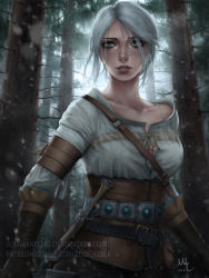 Rule 34 | 1girl, breasts, ciri, corset, dagger, deviantart username, forest, freckles, gloves, green eyes, highres, knife, leather, leather gloves, looking at viewer, medium breasts, nature, patreon username, realistic, scar, scar on face, sciamano240, sheath, sheathed, short hair, signature, silver hair, snowing, solo, sword, the witcher (series), the witcher 3, watermark, weapon, web address