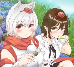 Rule 34 | 2girls, :t, animal ears, black bow, black hair, black skirt, bow, brown eyes, commentary, cup, dango, day, detached sleeves, eating, flower, food, grass, green tea, hat, highres, holding, holding cup, holding food, hydrangea, inubashiri momiji, multiple girls, outdoors, pointy ears, pom pom (clothes), red eyes, red scarf, risiyun, scarf, shameimaru aya, shirt, short sleeves, sitting, skirt, tea, tengu, tokin hat, touhou, wagashi, white hair, white shirt, wolf ears