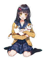 Rule 34 | 1girl, animal, bell, black hair, black socks, blue bow, blue sailor collar, blue skirt, bow, brown cardigan, calico, cardigan, cat, collar, collarbone, hair bow, hair ornament, hairpin, happy, holding, holding animal, holding cat, jingle bell, light blush, long hair, long sleeves, looking at viewer, open cardigan, open clothes, open mouth, original, paw print, pink bow, pink collar, plaid, plaid skirt, pleated skirt, sailor collar, school uniform, serafuku, shinishi chiho, simple background, sitting, skirt, smile, socks, sparkling eyes, wariza, white background, white serafuku, yellow cardigan, yellow eyes