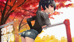 Rule 34 | 1girl, ass, autumn, black hair, breasts, closed mouth, commentary request, dappled sunlight, grey shorts, grey sky, highres, kaedeko (kaedelic), large breasts, long sleeves, looking away, looking to the side, oppai loli, original, red eyes, sasaki kanna (kaedeko), shirt, short hair, short shorts, shorts, sky, solo, sunlight, thighs, tree, twintails, white shirt