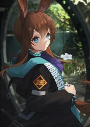 Rule 34 | 1girl, absurdres, amiya (arknights), arknights, ascot, blue ascot, blue collar, blue eyes, brown hair, clothes writing, collar, flower, hair between eyes, highres, holding, holding flower, jacket, jewelry, long hair, long sleeves, looking at viewer, multiple rings, neck ring, open clothes, open jacket, ring, sidelocks, siyu csy, solo, thumb ring, upper body, white flower