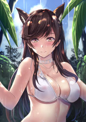 Rule 34 | 1girl, a-na, animal ear fluff, animal ears, atago (azur lane), atago (summer march) (azur lane), azur lane, blue sky, blush, breasts, brown eyes, brown hair, choker, closed mouth, cloud, collarbone, commentary request, day, highres, long hair, looking at viewer, medium breasts, nature, outdoors, rain, see-through, sky, smile, solo, upper body, wet