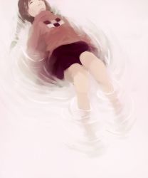 Rule 34 | 1girl, afloat, bad id, bad pixiv id, braid, brown hair, closed eyes, floating, from above, madotsuki, met-tha, pink shirt, purple skirt, shirt, skirt, solo, twin braids, twintails, water, yume nikki