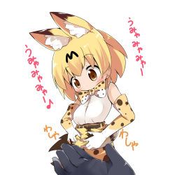 Rule 34 | 10s, 1girl, animal ears, belt, blonde hair, blush, bow, bowtie, brown belt, brown eyes, closed mouth, commentary request, elbow gloves, gloves, hair between eyes, high-waist skirt, highres, holding own tail, kemono friends, looking away, makuran, print gloves, print neckwear, print skirt, serval (kemono friends), serval print, serval tail, shirt, short hair, simple background, skirt, sleeveless, sleeveless shirt, solo focus, striped tail, tail, translation request, white background, white shirt