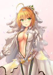 Rule 34 | 10s, 1girl, ahoge, belt, blonde hair, blush, breasts, bridal veil, center opening, cleavage, collarbone, cowboy shot, fate/extra, fate/extra ccc, fate/grand order, fate (series), feathers, flower, frilled skirt, frills, gloves, gradient background, green eyes, hair between eyes, hair intakes, hair ornament, hand on own chest, highres, kazuha (saku kn), large breasts, leaf, leaf hair ornament, lock, looking at viewer, navel, nero claudius (bride) (fate), nero claudius (fate), nero claudius (fate) (all), open mouth, padlock, petals, pink background, saku kn, skirt, solo, unzipped, veil, white background, white flower, white gloves