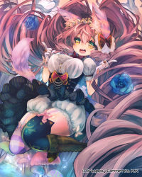 Rule 34 | 1girl, animal ears, bloomers, blue rose, boots, bow, bowtie, cross-laced footwear, dress, fang, flower, framed breasts, frilled skirt, frills, garter straps, gloves, hairband, lace, lolita hairband, long hair, majoca majoluna, original, pink hair, pochuri44, rose, skirt, solo, tail, thighhighs, underwear, yellow eyes