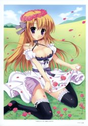 Rule 34 | 1girl, absurdres, black thighhighs, blonde hair, breasts, cleavage, dress, field, flower, flower on head, flower wreath, frilled thighhighs, frills, grass, head wreath, highres, large breasts, mitha, no panties, petals, purple eyes, sitting, skirt basket, solo, thighhighs, wariza