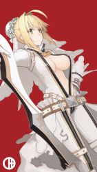 Rule 34 | 1girl, ahoge, aqua eyes, bad id, bad pixiv id, belt, breasts, chain, cleavage, dutch angle, fate (series), hair intakes, hand on own hip, highres, large breasts, lock, mikoto (oi plus), nero claudius (bride) (fate), nero claudius (fate), nero claudius (fate) (all), no bra, padlock, red background, sideboob, simple background, skin tight, smile, solo, sword, unzipped, weapon, zipper