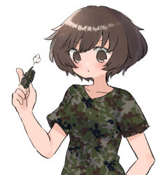 Rule 34 | 1girl, puff of air, akiyama yukari, brown eyes, brown hair, camouflage, camouflage shirt, closed mouth, commentary, frown, girls und panzer, green shirt, holding, holding toy, looking at viewer, messy hair, model tank, ri (qrcode), shirt, short hair, short sleeves, simple background, solo, t-shirt, toy, upper body, white background