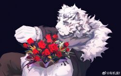 Rule 34 | 1boy, animal ears, arknights, bara, black background, bouquet, facial hair, feet out of frame, flower, formal, from above, furry, furry male, goatee, highres, holding, holding bouquet, large pectorals, light smile, looking at viewer, male focus, mountain (arknights), muscular, muscular male, pectorals, rose, scar, scar across eye, short hair, sitting, solo, suit, thick eyebrows, tiger boy, tiger ears, white hair, you ji fei f