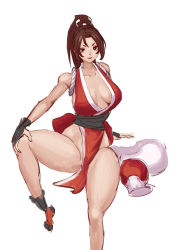 Rule 34 | 1girl, breasts, fatal fury, large breasts, ponytail, revealing clothes, shiranui mai, solo
