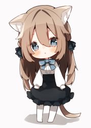 Rule 34 | 1girl, animal ear fluff, animal ears, black bow, black skirt, blue bow, blush, bow, braid, breasts, brown hair, cat ears, cat girl, cat tail, chibi, frilled skirt, frills, full body, grey background, grey eyes, hair between eyes, hair bow, heripiro, highres, long hair, long sleeves, no shoes, original, pantyhose, parted lips, puffy long sleeves, puffy sleeves, shadow, shirt, skirt, sleeves past wrists, small breasts, solo, standing, tail, very long hair, white pantyhose, white shirt