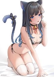 Rule 34 | 1girl, :d, animal ears, bikini, black bikini, black hair, blue eyes, breasts, carrot (robosquat), cat ears, cat tail, cleavage, fake animal ears, fang, highres, kneeling, long hair, open mouth, original, small breasts, smile, solo, swimsuit, tail, thighhighs, thighs, tongue, tongue out, white thighhighs