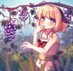 Rule 34 | 1girl, animal ears, blonde hair, blush, bow, dog ears, dress, eating, food, fruit, grapes, hair bow, hand to own mouth, highres, kosobin, looking at viewer, original, outdoors, pink dress, pink eyes, ribbon, short hair, solo, sundress, tree, upper body