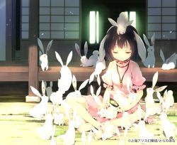 Rule 34 | 1girl, animal, animal ears, animal on head, barefoot, black hair, brush, carrot, dress, closed eyes, female focus, inaba tewi, indian style, jewelry, light particles, necklace, on head, open mouth, pendant, rabbit, rabbit ears, short hair, sitting, solo, subachi, sunlight, tail, too many, too many rabbits, touhou, veranda