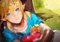 Rule 34 | 1boy, against tree, apple, blonde hair, blue eyes, blue tunic, blush, day, fa8072, food, fruit, grass, hair between eyes, holding, holding food, holding fruit, leaf, link, long hair, looking at viewer, male focus, nintendo, outdoors, parted lips, pointy ears, shield, shield on back, sketch, solo, strap, the legend of zelda, the legend of zelda: breath of the wild, tree