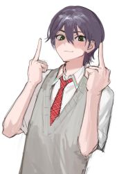 Rule 34 | 1boy, bad id, bad twitter id, closed mouth, double middle finger, green eyes, grey vest, haaksik, highres, kenmochi touya, looking at viewer, male focus, middle finger, necktie, nijisanji, purple hair, red necktie, shirt, short sleeves, simple background, sketch, solo, sweater vest, upper body, vest, virtual youtuber, white background, white shirt