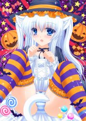 Rule 34 | 1girl, :d, animal ears, bad id, bad pixiv id, bat (animal), blue eyes, candy, cat ears, cat tail, food, frills, halloween, hat, highres, jack-o&#039;-lantern, lollipop, long hair, looking at viewer, open mouth, original, panties, pantyshot, shimotsuki keisuke, sitting, smile, solo, striped clothes, striped panties, striped thighhighs, tail, thighhighs, two side up, underwear, white hair, witch hat