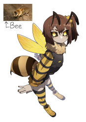 Rule 34 | 1girl, absurdres, antennae, arthropod girl, bad id, bad pixiv id, bee girl, black sclera, black thighhighs, brown hair, brown nails, closed mouth, colored sclera, dark-skinned female, dark skin, full body, fur-trimmed jacket, fur collar, fur trim, gomulgong, hair between eyes, highres, insect girl, insect wings, jacket, long sleeves, looking at viewer, monster girl, original, personification, photo inset, reference inset, ringed eyes, short eyebrows, short hair, side ponytail, simple background, solo, standing, stinger, striped clothes, striped sleeves, striped thighhighs, thighhighs, white background, white jacket, wings, yellow eyes, yellow footwear, yellow jacket, yellow thighhighs