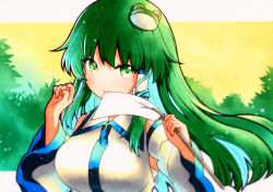 Rule 34 | 1girl, bad id, bad twitter id, bare shoulders, blush, breasts, closed mouth, detached sleeves, frog hair ornament, gohei, green eyes, green hair, hair between eyes, hair ornament, highres, holding, japanese clothes, kochiya sanae, large breasts, long hair, nontraditional miko, qqqrinkappp, snake hair ornament, solo, touhou, traditional media, upper body, wide sleeves