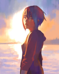 Rule 34 | 1girl, absurdres, another code, another code recollection, ashley mizuki robbins, blurry, blurry background, cloud, cloudy sky, from side, hair between eyes, highres, hood, hoodie, kanasaki taisuke, looking at viewer, looking to the side, ocean, official art, orange sky, parted lips, short hair, sky, solo, sunset
