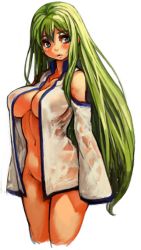 Rule 34 | 1girl, bare shoulders, blue eyes, blush, bottomless, breasts, collarbone, detached sleeves, green hair, kochiya sanae, large breasts, long hair, naked shirt, navel, no bra, no panties, open clothes, open mouth, sachito, see-through, see-through silhouette, shirt, simple background, sketch, sleeves past wrists, solo, touhou, white background