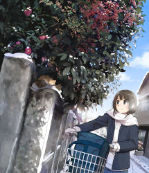 Rule 34 | 1girl, bag, bicycle, blue skirt, blue sky, breath, brown eyes, brown hair, building, cat, day, fence, flower, footprints, gloves, handbag, jacket, leaf, long sleeves, looking at another, morifumi, original, outdoors, pleated skirt, scarf, school bag, short hair, skirt, sky, sleeping, smile, snow, solo, standing, sweater, tree, white gloves, white scarf, winter, winter clothes