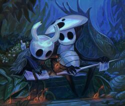 Rule 34 | 1boy, 1other, black cloak, book, bug, cloak, commentary, english commentary, full body, highres, holding, holding rag, hollow knight, jekutoda, knight (hollow knight), leaf, looking at another, mask, mask on head, open book, outdoors, polishing, quirrel, shell, sitting, sword, sword behind back, weapon, white mask, writing