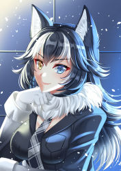 Rule 34 | 1girl, animal ear fluff, animal ears, black hair, black jacket, black necktie, blue eyes, breasts, closed mouth, commentary request, fur collar, gloves, grey wolf (kemono friends), hand up, heterochromia, highres, jacket, kemono friends, long hair, long sleeves, looking at viewer, medium breasts, multicolored hair, necktie, plaid necktie, plaid neckwear, smile, solo, streaked hair, upper body, villyane, white gloves, white hair, wolf ears, yellow eyes