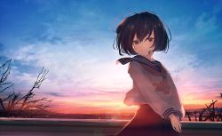 Rule 34 | 1girl, absurdres, bare tree, black hair, brown eyes, closed mouth, cloud, commentary request, eyelashes, film grain, from below, highres, huge filesize, lens flare, light blush, long sleeves, looking at viewer, mifuru, original, own hands together, school uniform, serafuku, shirt, short hair, sky, solo, tree, twilight
