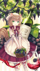 Rule 34 | 1girl, :p, absurdres, alcohol, apron, bad id, bad pixiv id, basket, bottle, brown hair, chipmunk ears, chipmunk tail, commentary, cup, dress, drinking glass, english commentary, food, frilled apron, frilled sleeves, frills, fruit, grape vine, grapes, green eyes, hair ribbon, head scarf, highres, holding, holding basket, long hair, looking at viewer, low twintails, neck ribbon, original, pantyhose, purple ribbon, ribbon, short sleeves, smile, solo, tongue, tongue out, twintails, waist apron, white apron, white pantyhose, wine, wine bottle, wine glass, yumeichigo alice