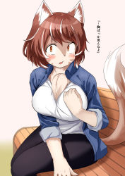 Rule 34 | 1girl, animal ears, bench, breasts, brown eyes, brown hair, cat ears, cat girl, cat tail, collared shirt, facial mark, female focus, furry, furry female, highres, kagarimachi konatsu, large breasts, multicolored hair, open clothes, open mouth, open shirt, original, pants, shirt, sitting, sleeves rolled up, solo, tail, yoga pants