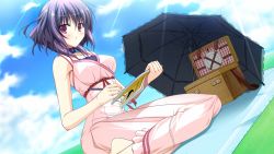 Rule 34 | 1girl, basket, blush, breasts, choker, cloud, drawing, dress, fortissimo//akkord:bsusvier, game cg, grass, large breasts, looking at viewer, ooba kagerou, pen, pink eyes, purple hair, short hair, sitting, sky, solo, sunlight, umbrella